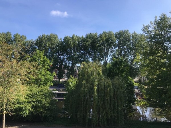 Medium property photo - Suezkade, 2517 CC Den Haag
